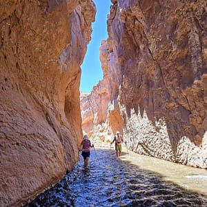 Trekking en el río