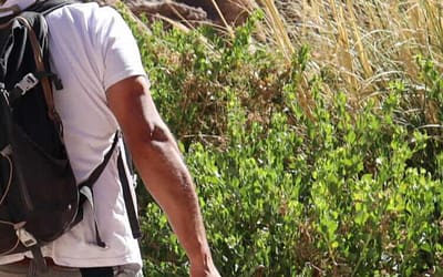 ¿San Pedro de Atacama con guía o solo? Qué conviene realmente