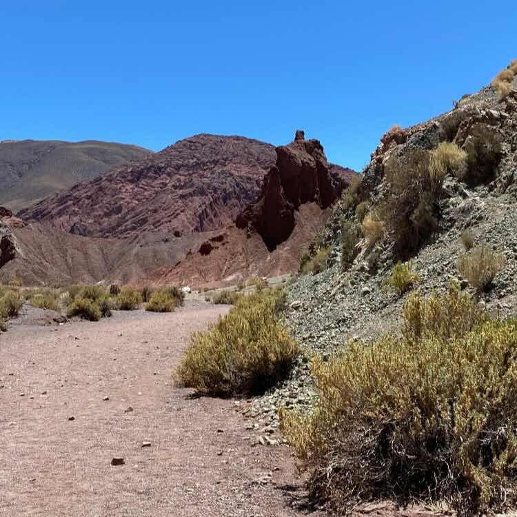 De Calama a Hierbas Buenas - Imagen 4